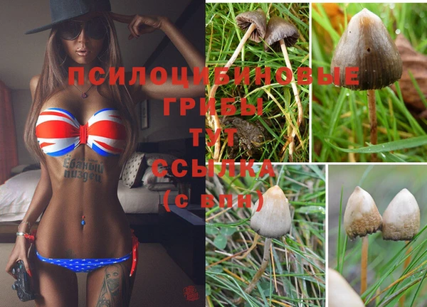 ALPHA PVP Абинск