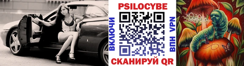 Псилоцибиновые грибы Psilocybe  цена   Екатеринбург 